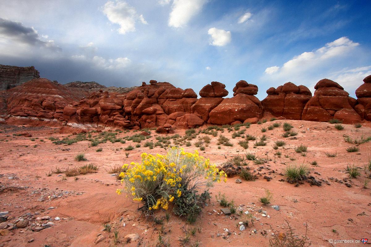 Little Egypt Geologic Site