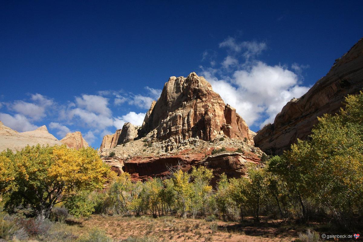 Capitol Reef National Park