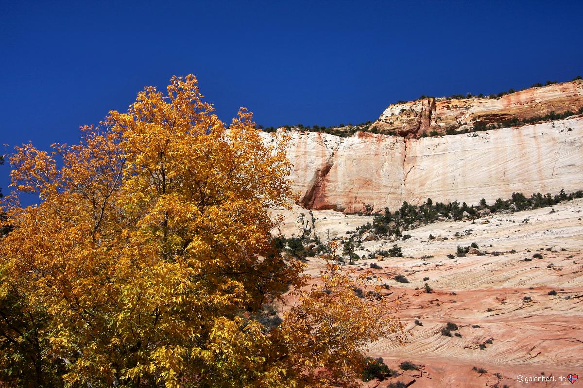 Zion National Park