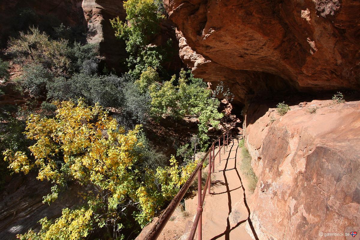 Zion National Park