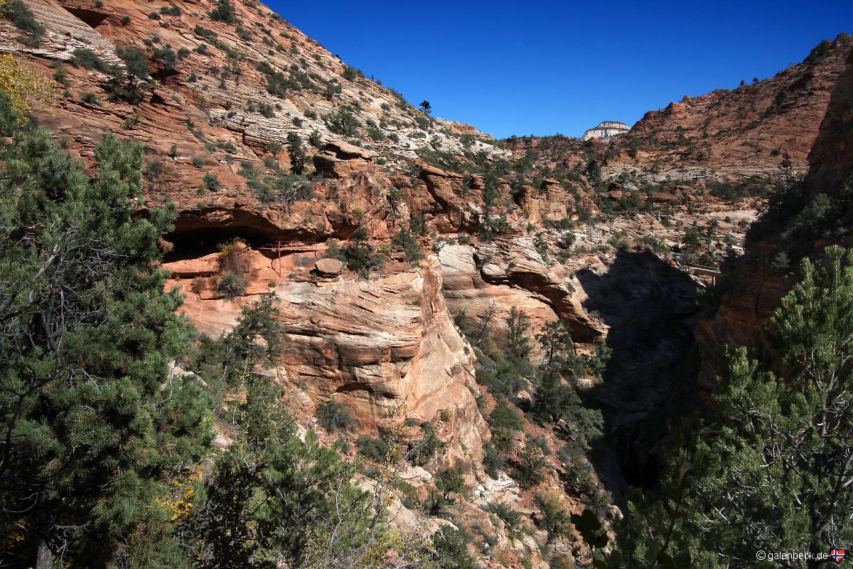 Zion National Park