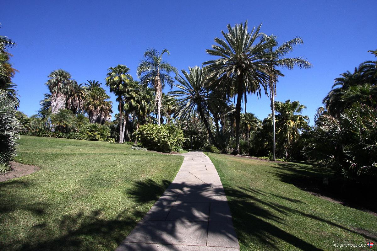 Huntington Library Art Collections Botanical Gardens