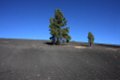 085_Sunset_Crater_Volcano_National_Monument