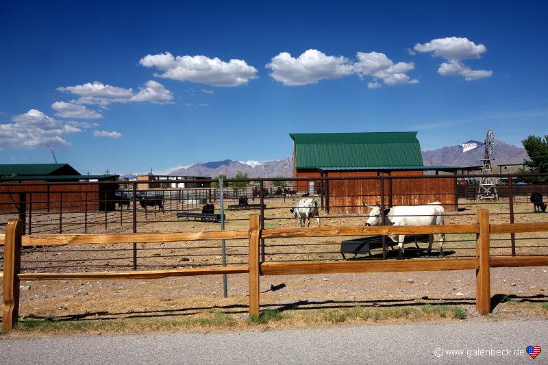 New Mexico Farm & Ranch Heritage Museum