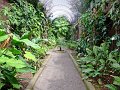 Jardin_Botanico_Puerto_de_la_Cruz_101
