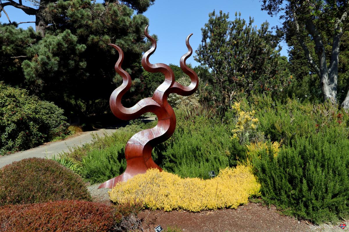 Mendocino Coast Botanical Gardens