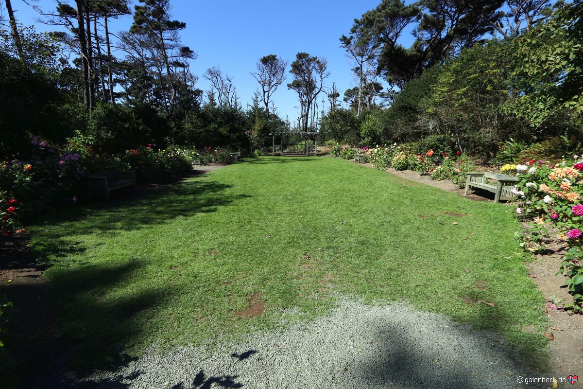 Mendocino Coast Botanical Gardens