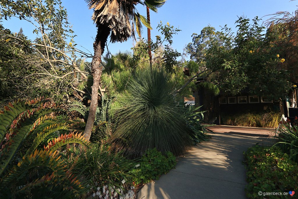 University of California Botanical Garden