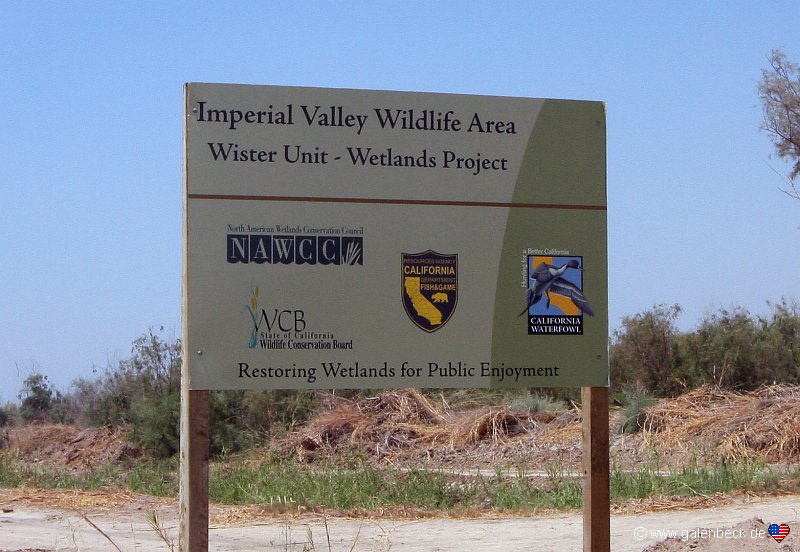 Imperial Wildlife Area and the Wister Unit