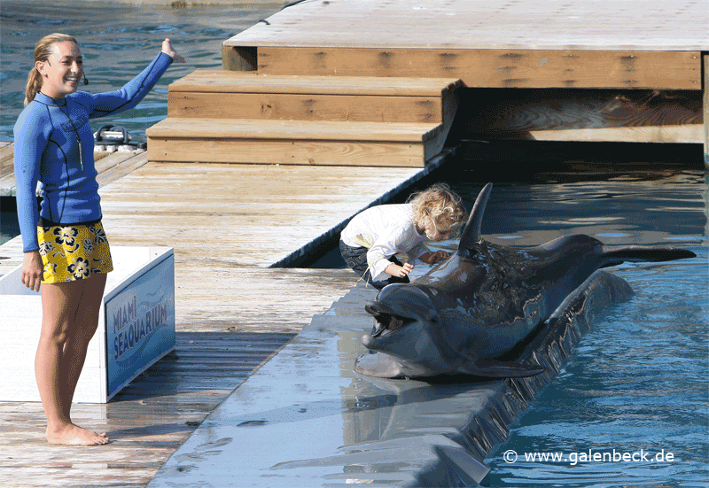 Miami Sea Aquarium