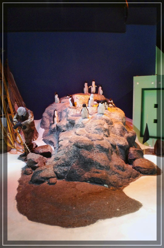 International Antarctic Centre