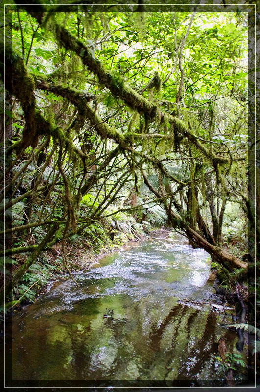 Purakaunui Falls