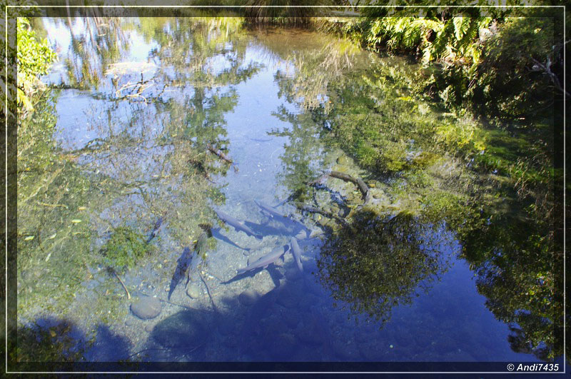 Nationale Trout Centre