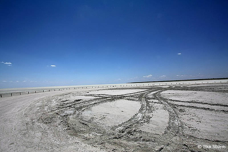 Etosha Nationalpark