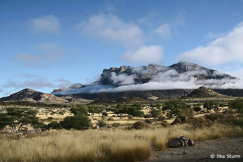 Mount Hohenstein