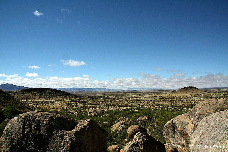 Boulder Forest