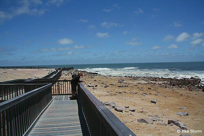 Robbenkolonie Cape Cross