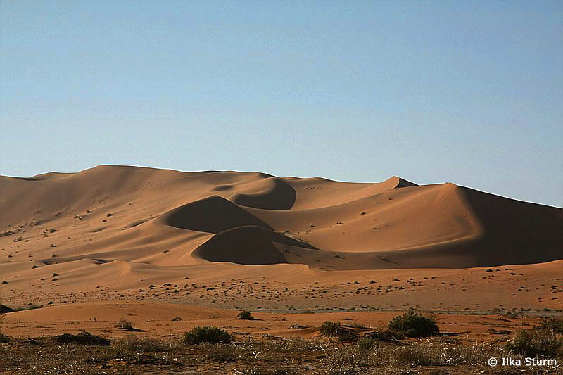 Sossusvlei