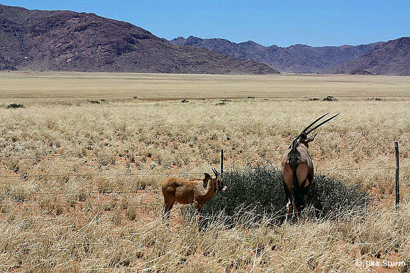 Namibia