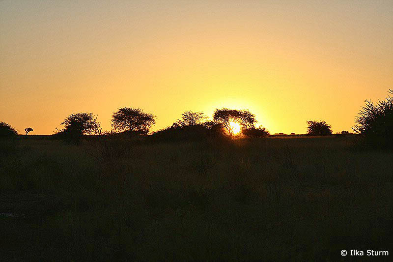 Kalahari Anib Lodge