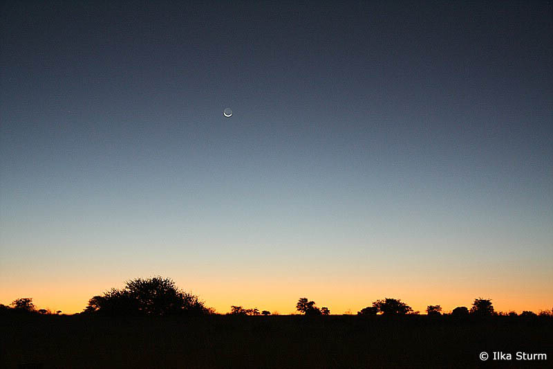 Kalahari Anib Lodge