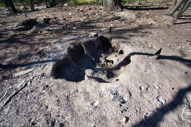 Chiricahua National Monument