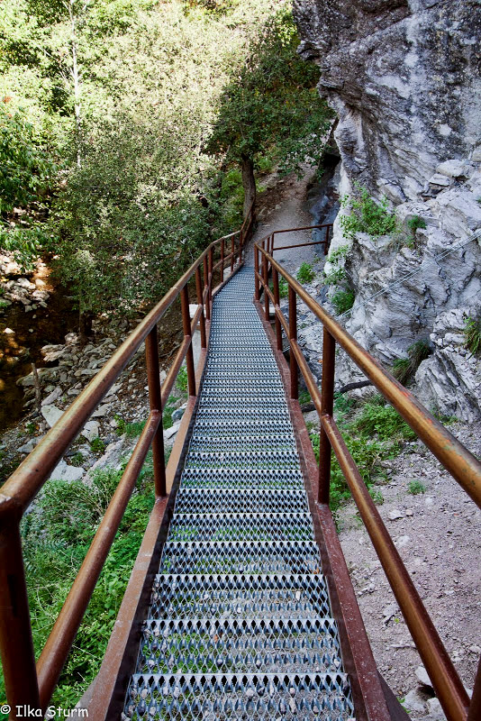 Catwalk