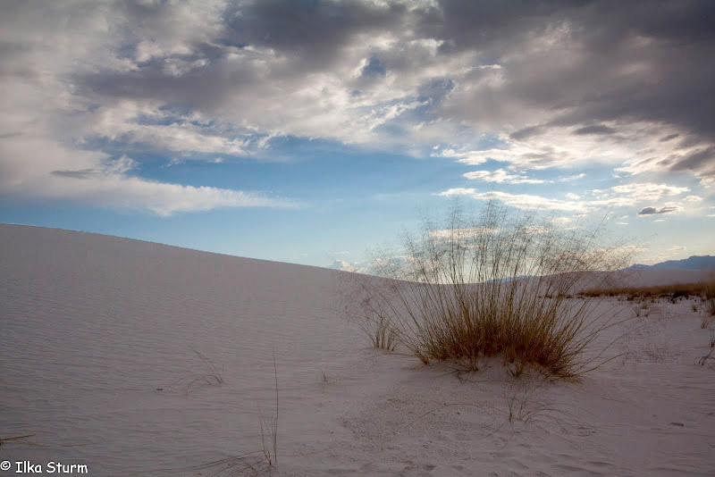 White Sands National Monument