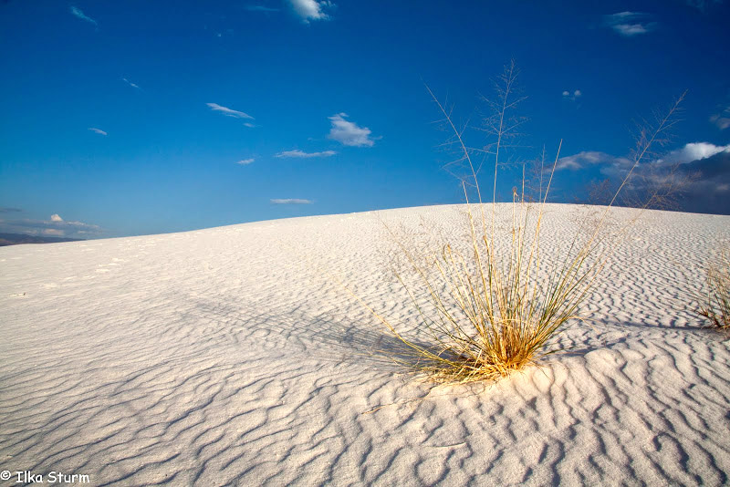 White Sands National Monument