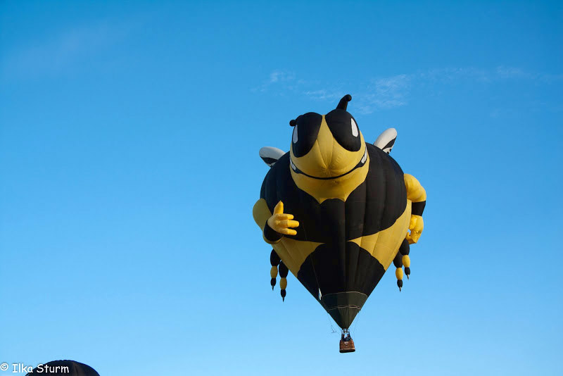 Albuquerque International Balloon Fiesta