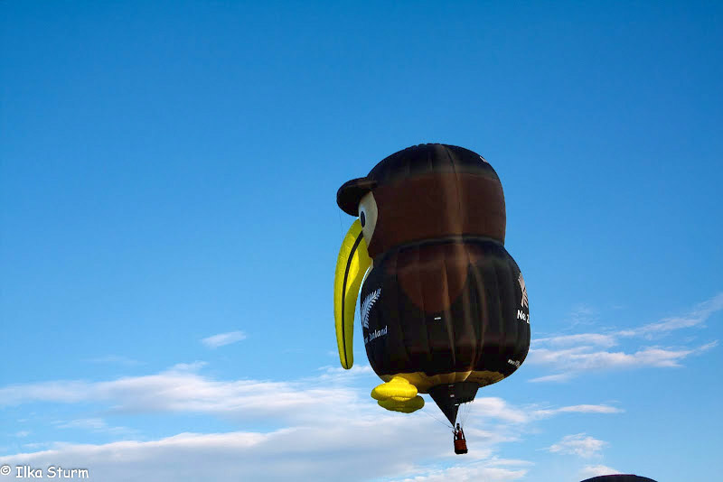 Albuquerque International Balloon Fiesta