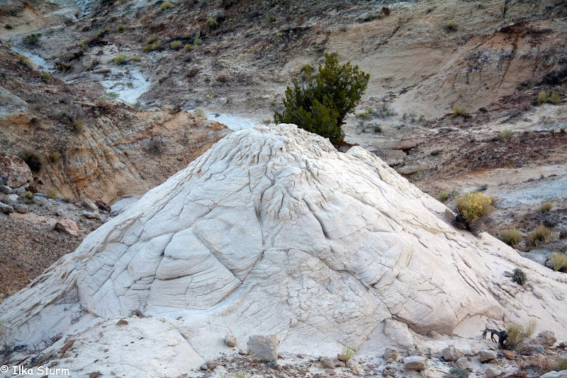 Rio Puerco Rock Formations