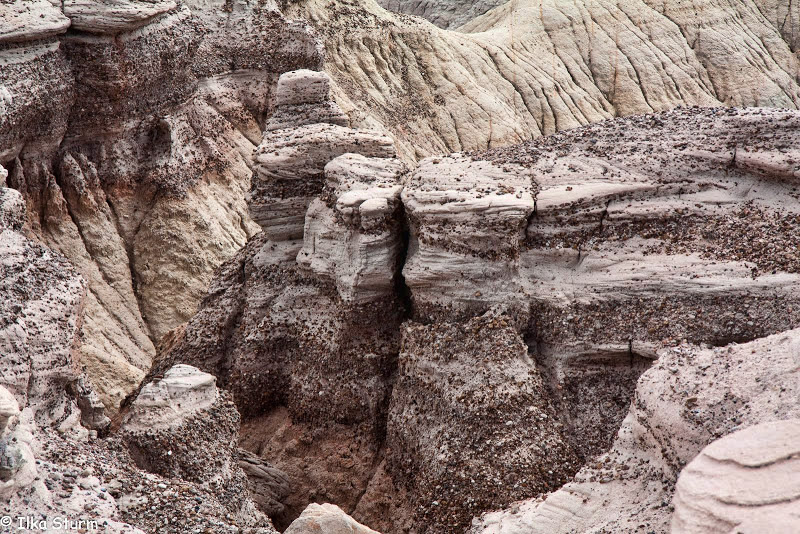 Petrified Forest National Park
