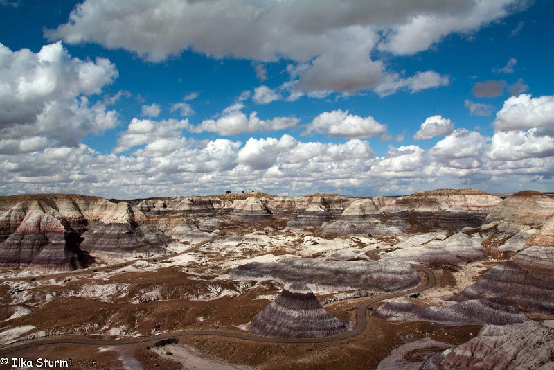 Petrified Forest National Park