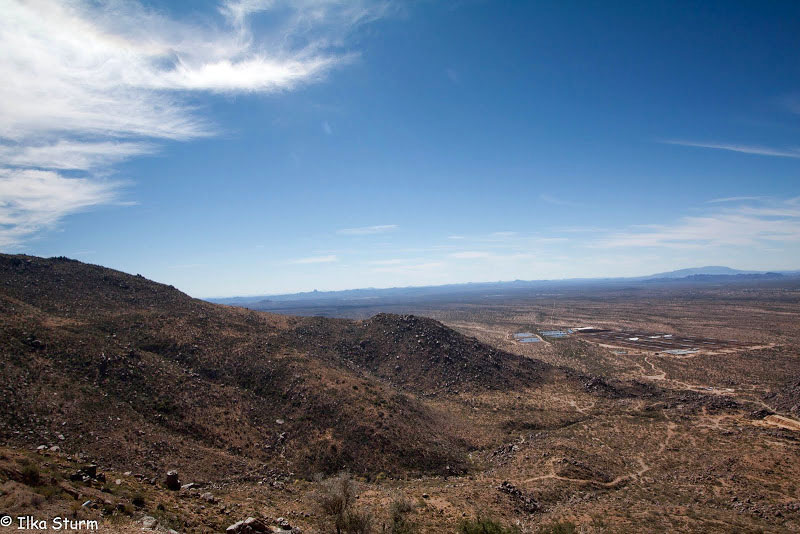 Vulture Mine