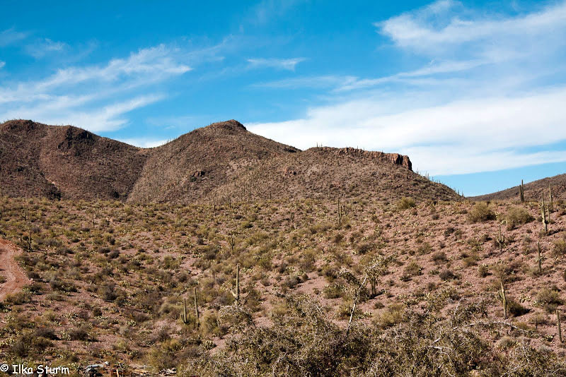 Castle Hot Springs Road