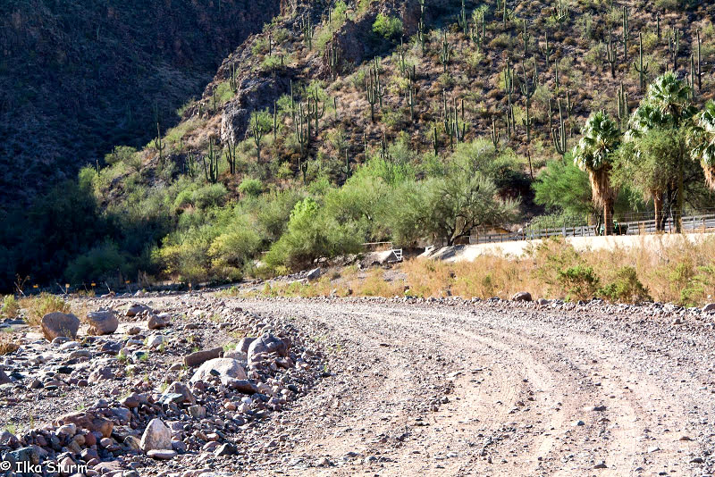 Castle Hot Springs Road