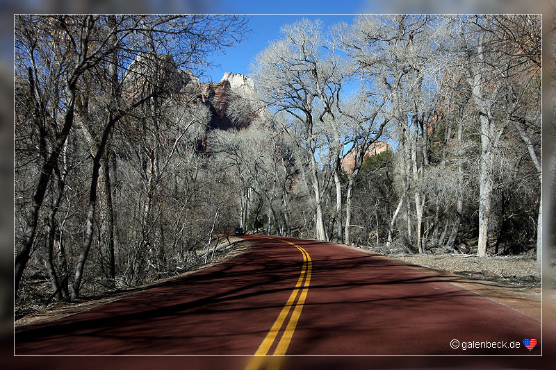Zion National Park