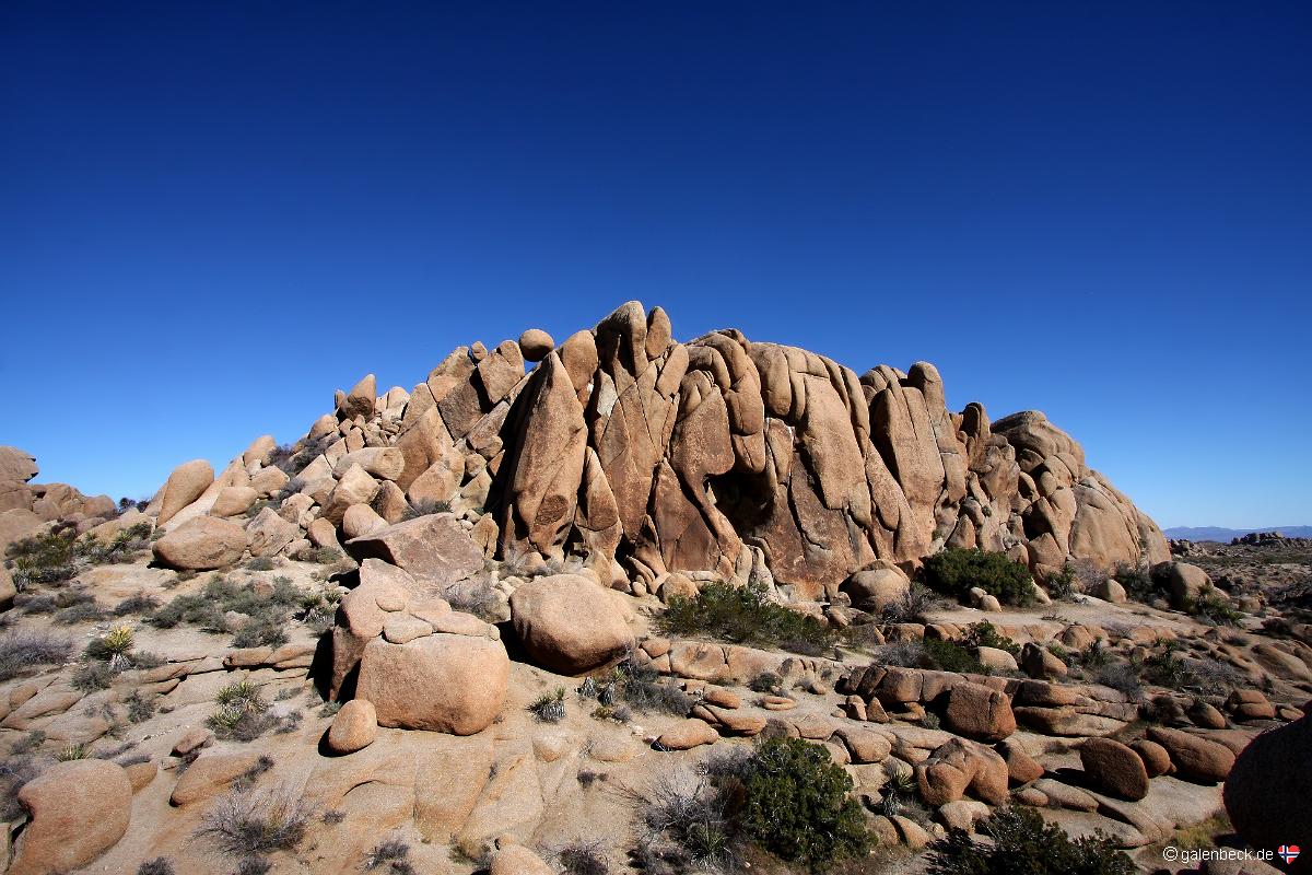 Joshua Tree National Park