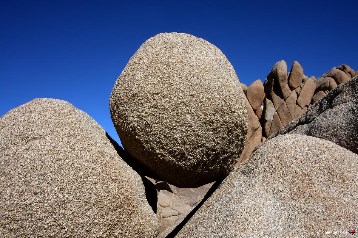 Joshua Tree National Park