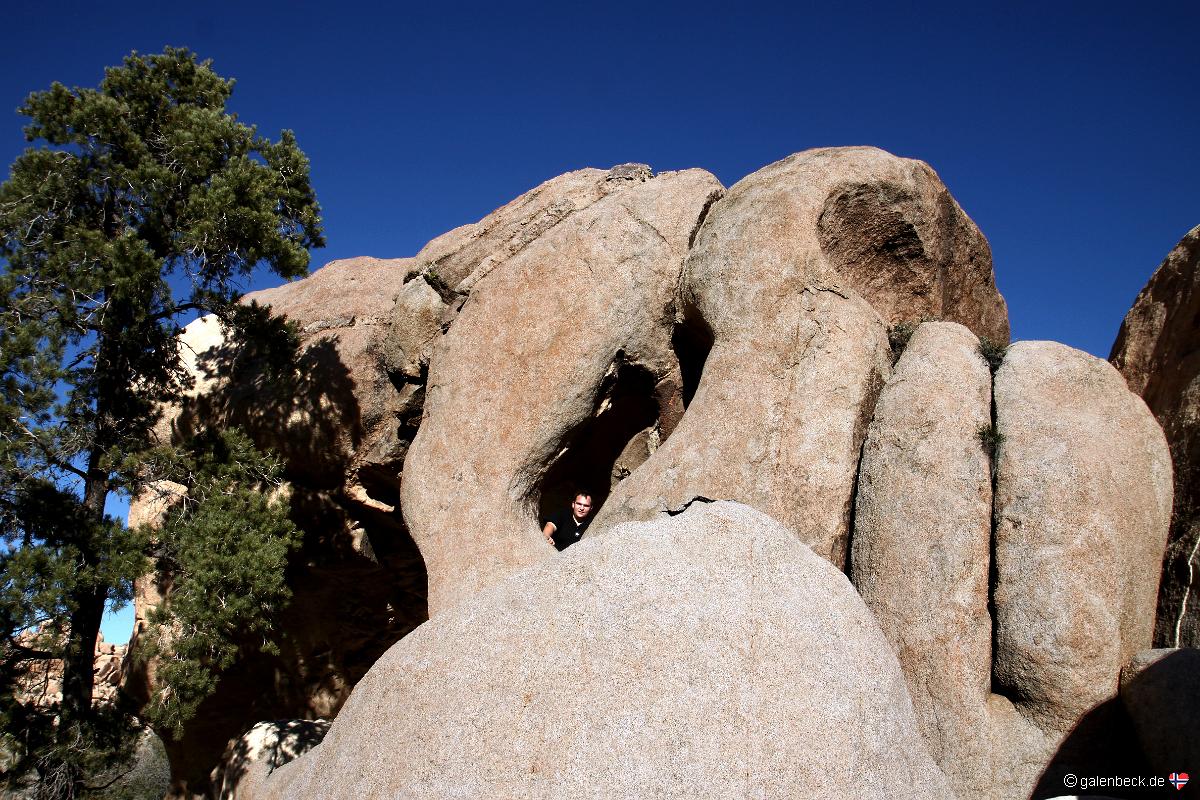 Joshua Tree National Park