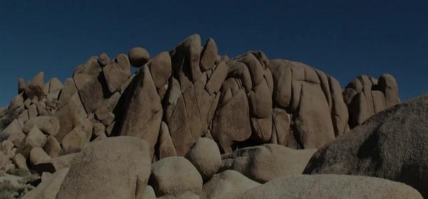 49joshua tree national park