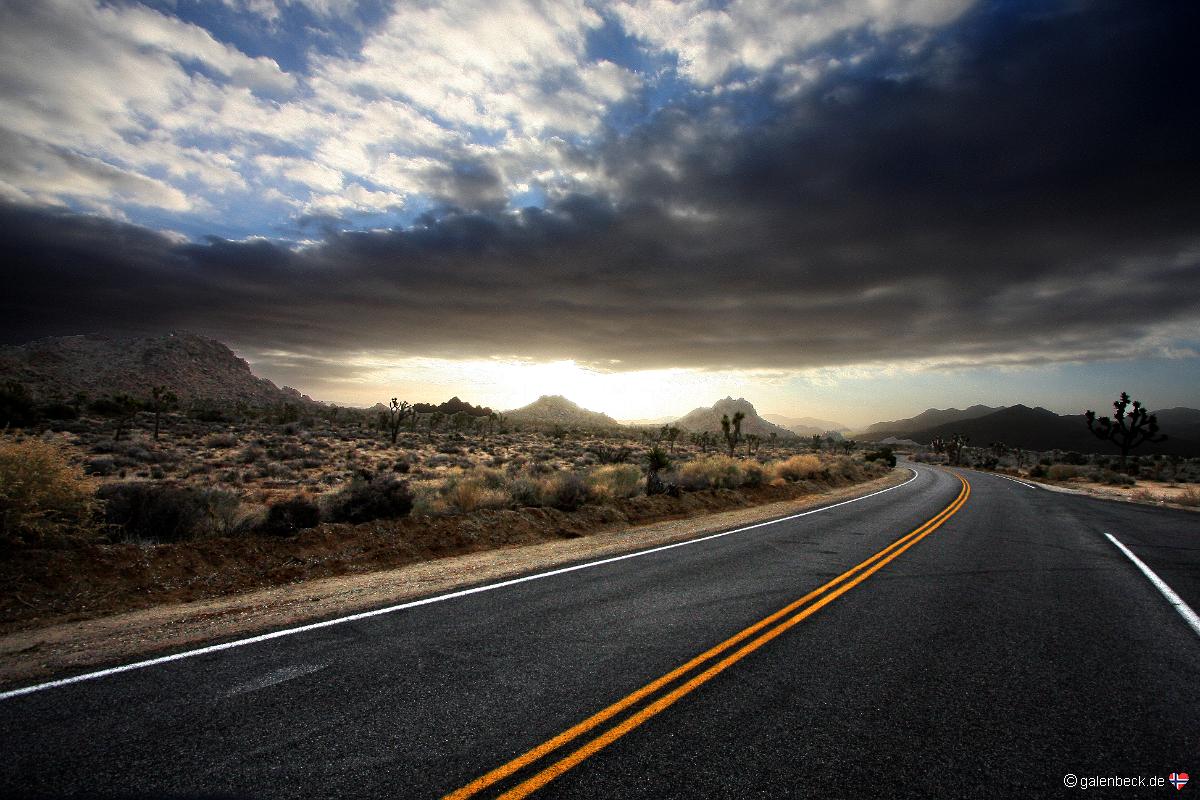 Joshua Tree National Park