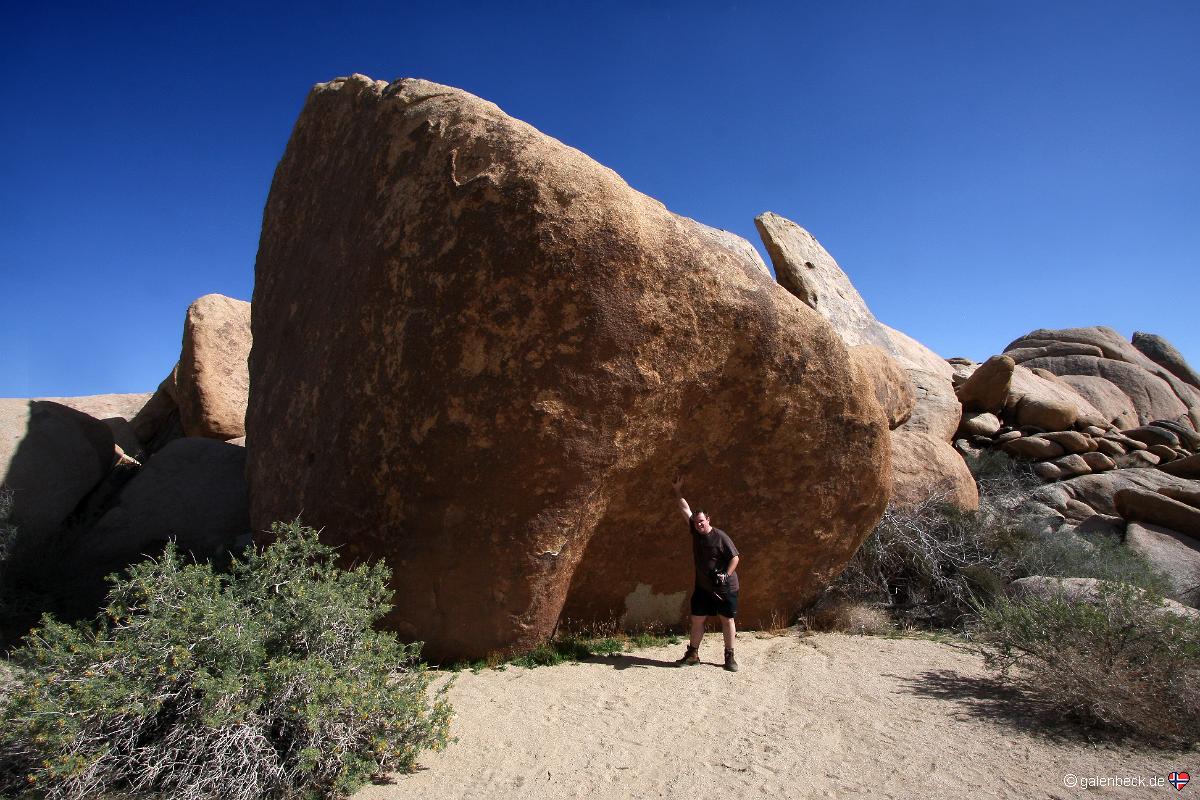 Joshua Tree National Park