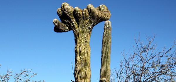83