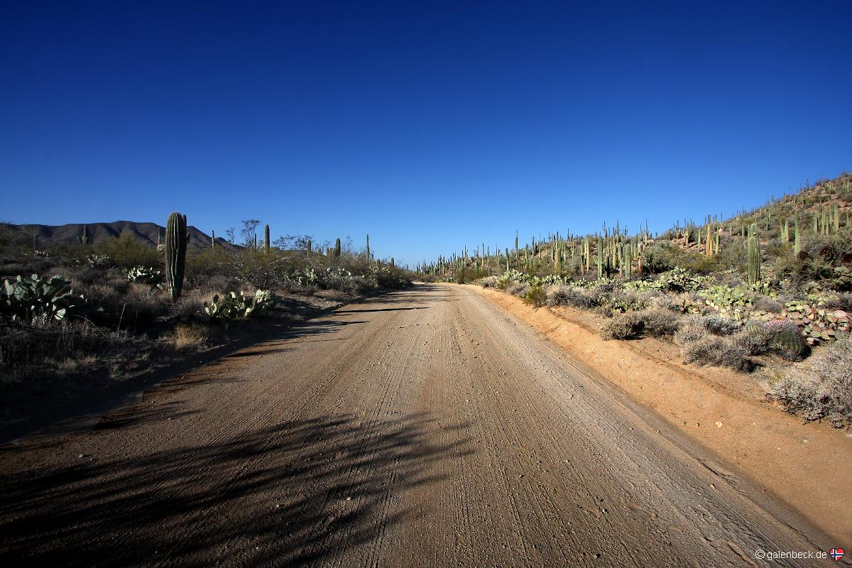 Golden Gate Road
