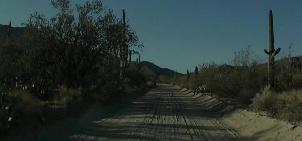 41saguaro national park west