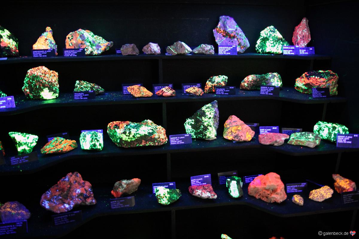 Tucson Gem and Mineral Show 2011