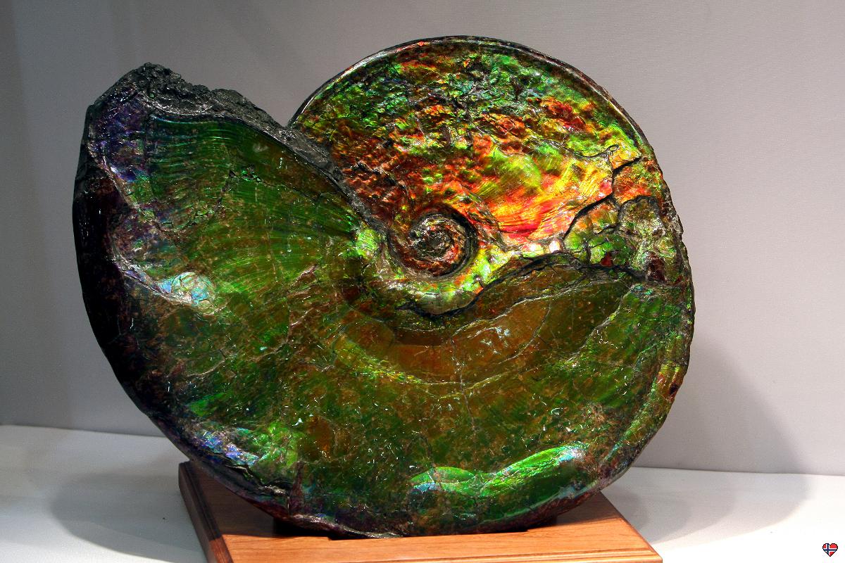 Tucson Gem and Mineral Show 2011