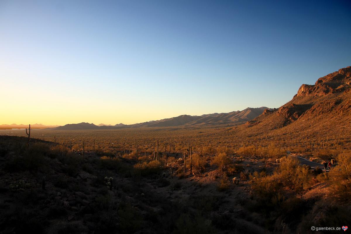 Saguaro National Park West